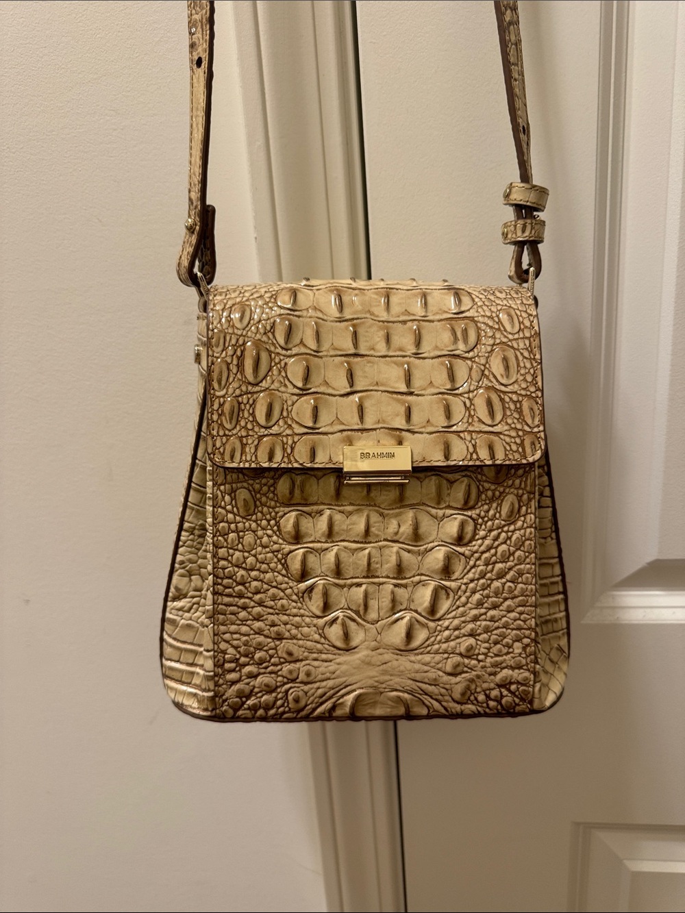Brahmin Croc Embossed Bag